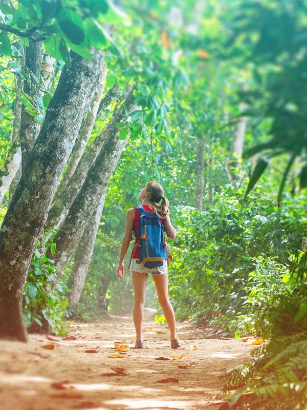Hiking a forest trail on the Nicoya Peninsula, Costa Rica